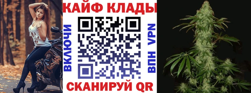Наркошоп купить БУТИРАТ  COCAIN  Псилоцибиновые грибы  Мефедрон  A-PVP  ГАШ  Новоалександровск